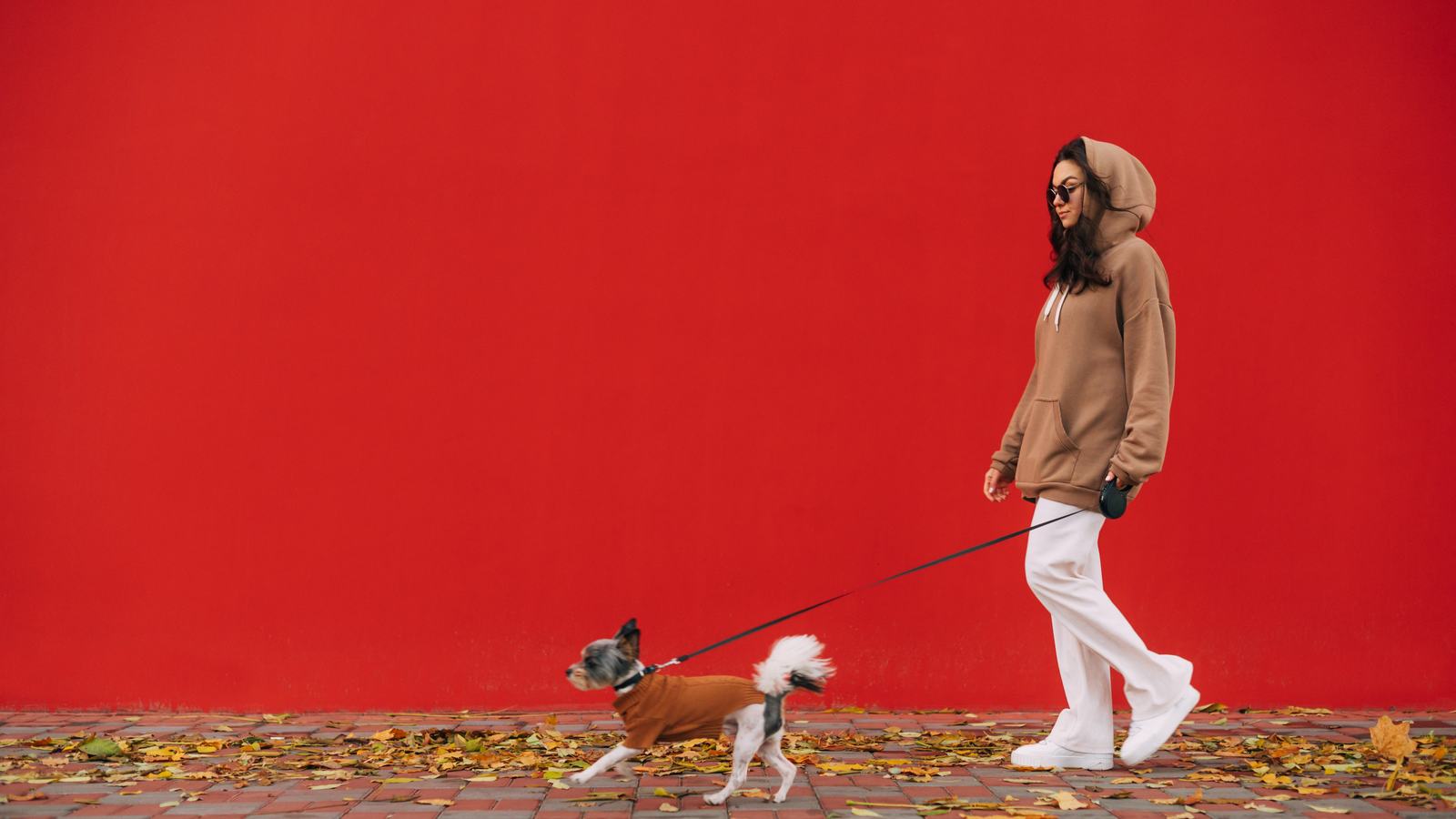 A woman walking her small dog past a red wall through fallen leaves.