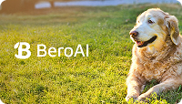 BeroAI brings pet communication toMontréal